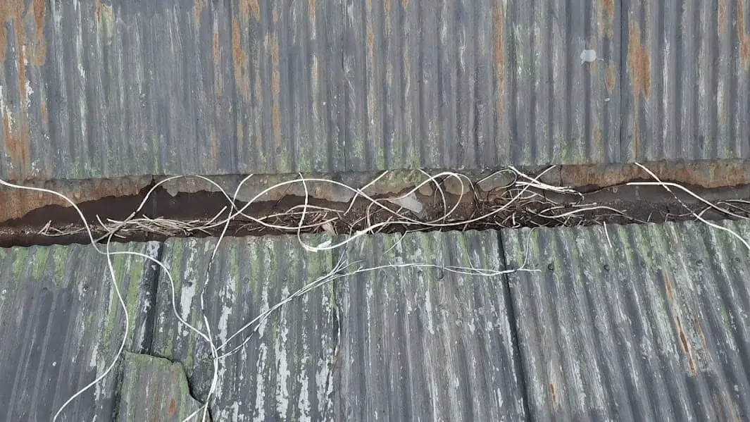 High-Resolution Aerial Roof Shot showing clogged gutters